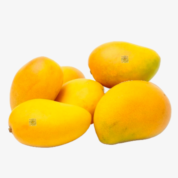 Ratnagiri Hapus (2Dz)