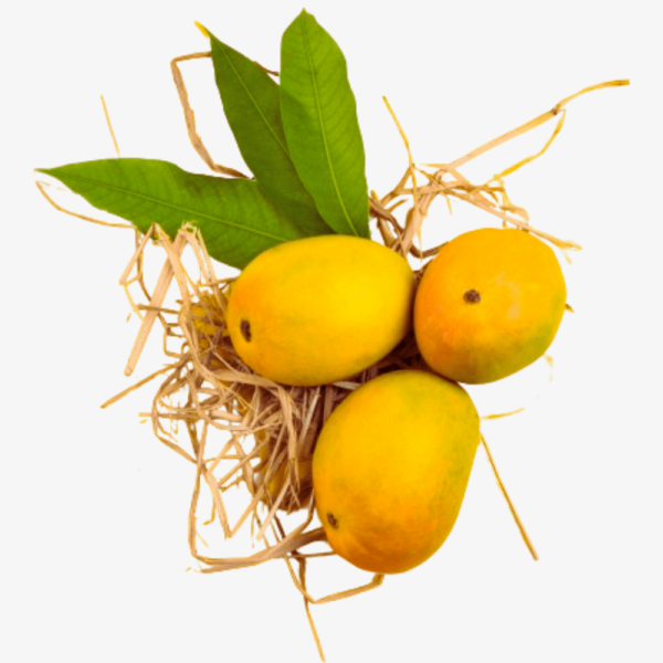 Ratnagiri Hapus (4 Dz)