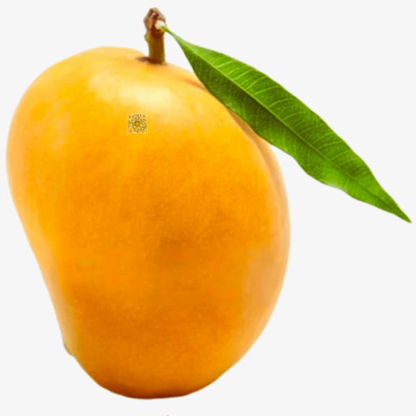 Ratnagiri Hapus (8 Dz)