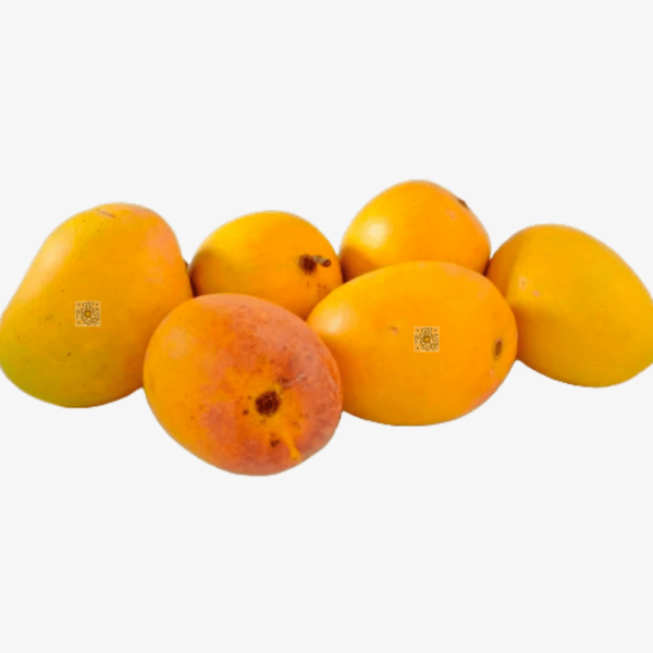 Devgad Alphonso (18 Mango)