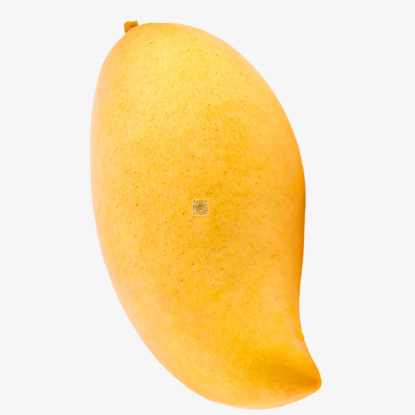 Kesar ( 5 Kg)