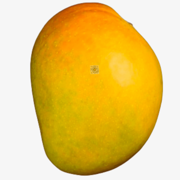 Ratnagiri Hapus (15 Mangoes)