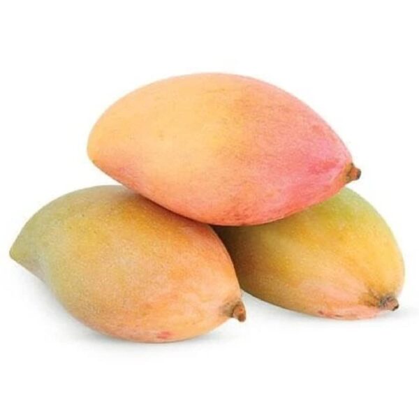 Totapuri Mango – 5 Kg