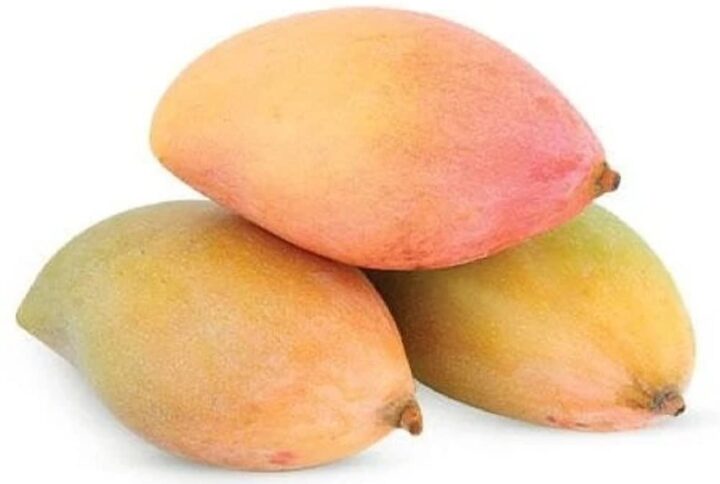 buy-totapuri-mango-online-in-pune