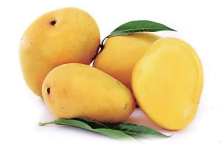 buy-badami-mango-in-pune