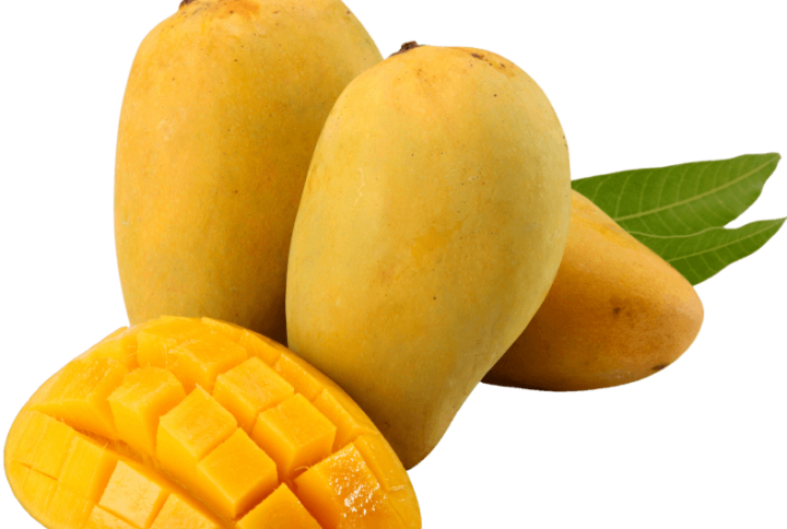 organic-chausa-mango-pune