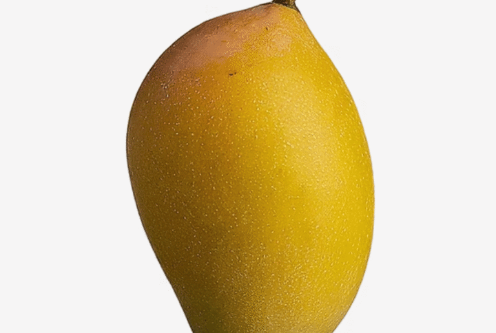 totapuri-mangoes-in-pune